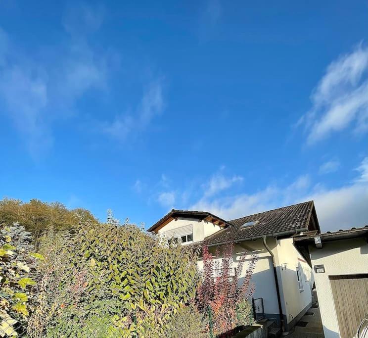 Modernes Apartment Mit Top Ausstattung Und Kamin Im Oberpfalzer Seenland Nittenau Exterior photo